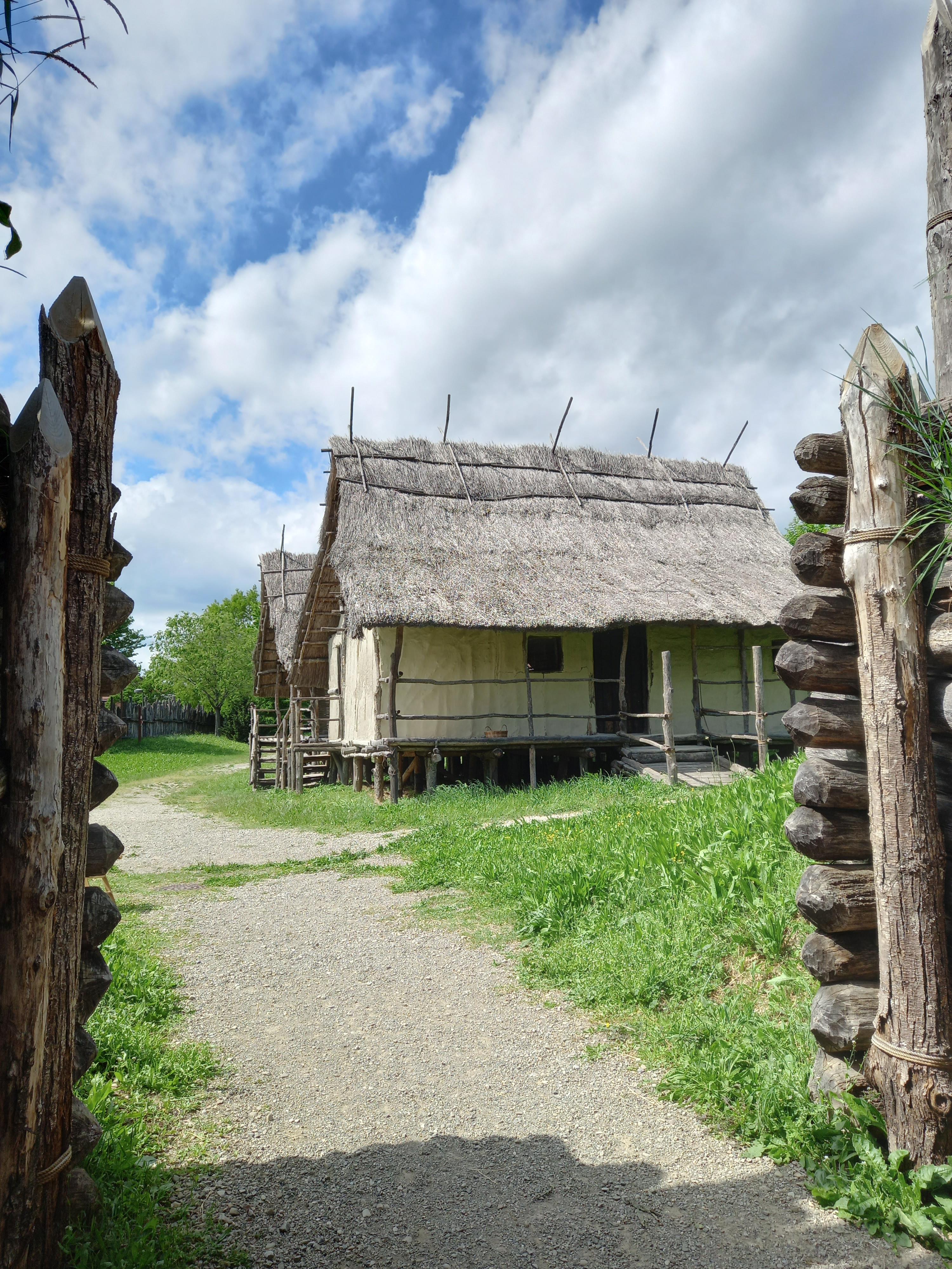 Parco della Terramara di Montale_2025.jpeg