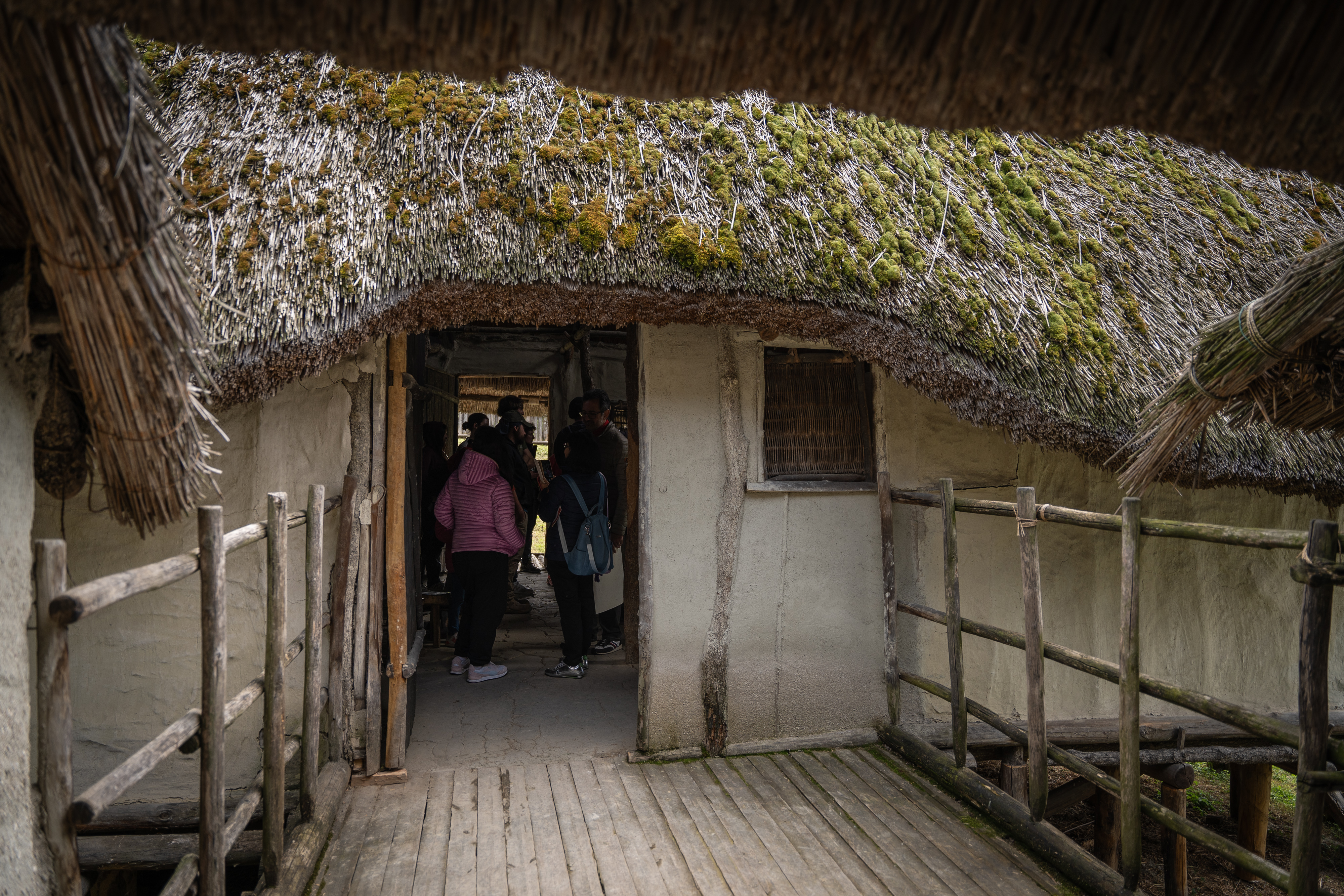 Terramara di Montale_2025.jpeg