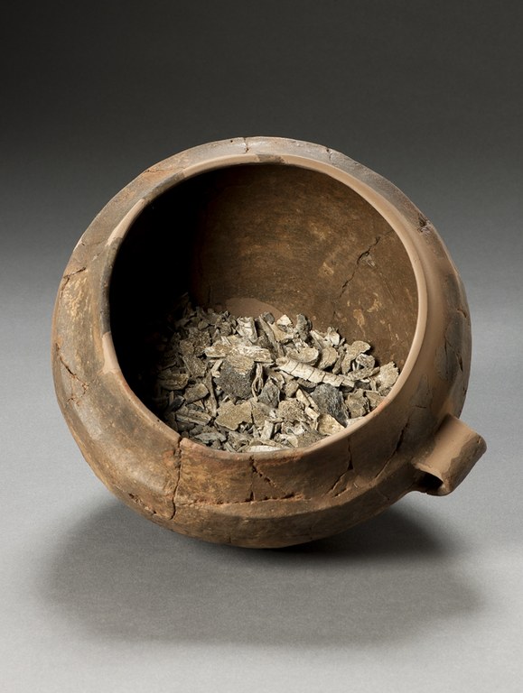 Urna cineraria dalla necropoli della terramara di Casinalbo (MO)_Museo Civico Modena.jpg