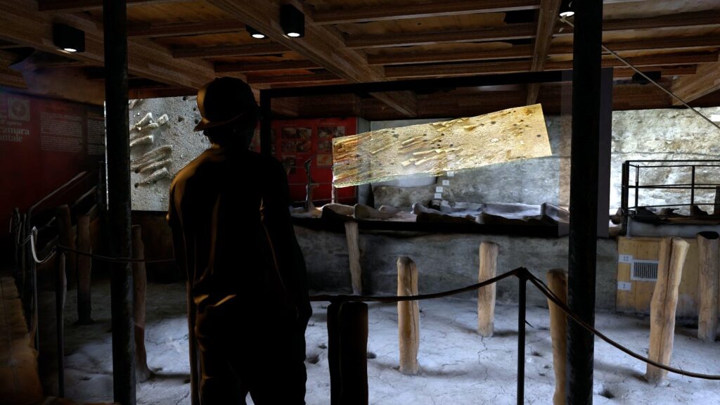 visita-immersiva-terramara-montale (3)